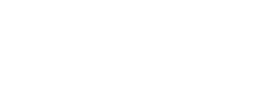 Synergy Oak